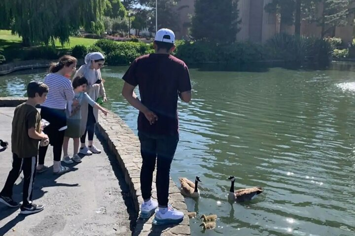 Stroll along scenic waterfronts as you enjoy the charm of San Francisco meeting friendly ducks and soaking in views that inspire creativity and exploration in every traveler.